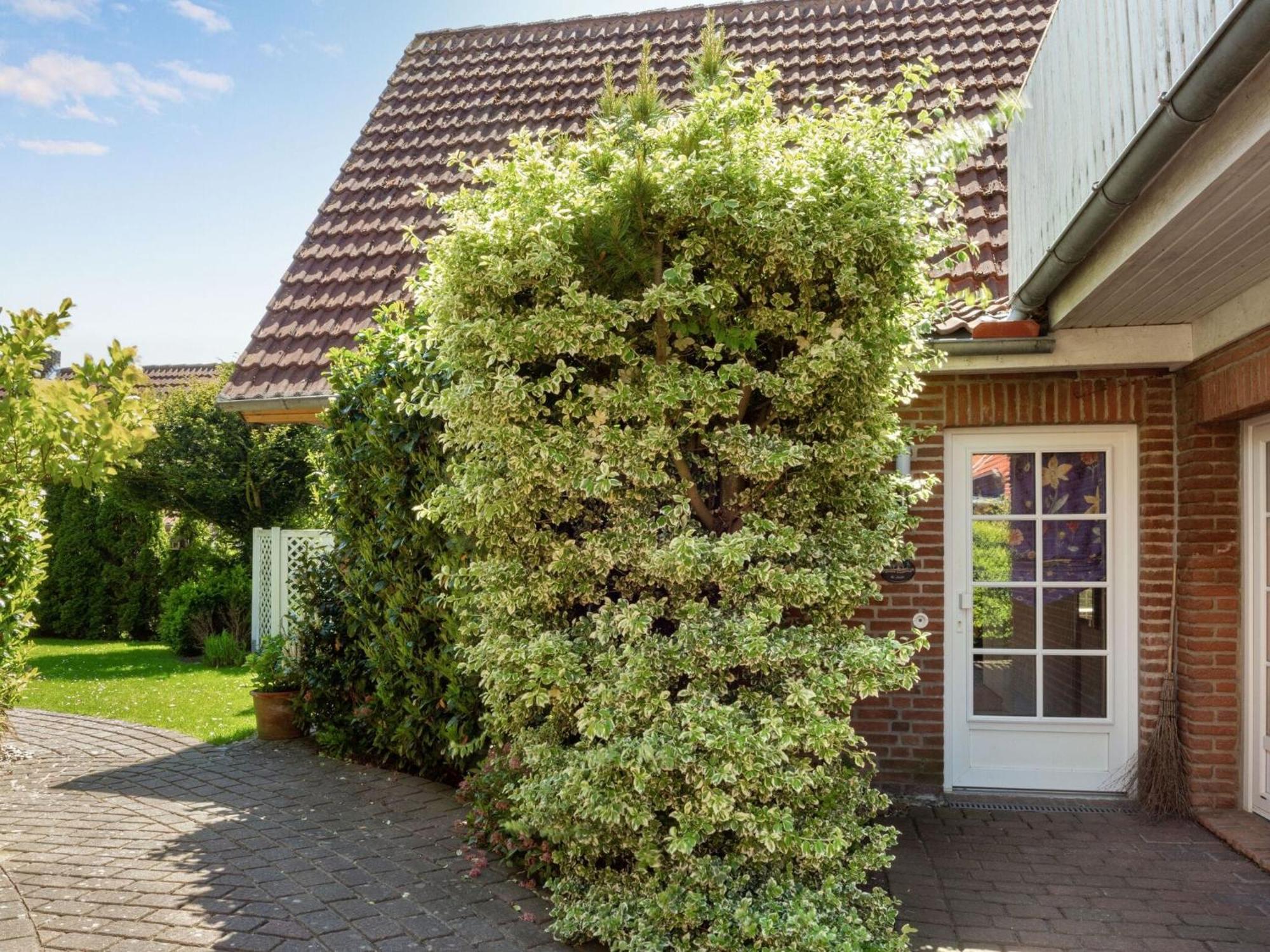 Enticing Holiday Home In Oldenburg With Garden Near Sea Dannau Екстериор снимка